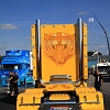 Ristimaa - Tiger_06